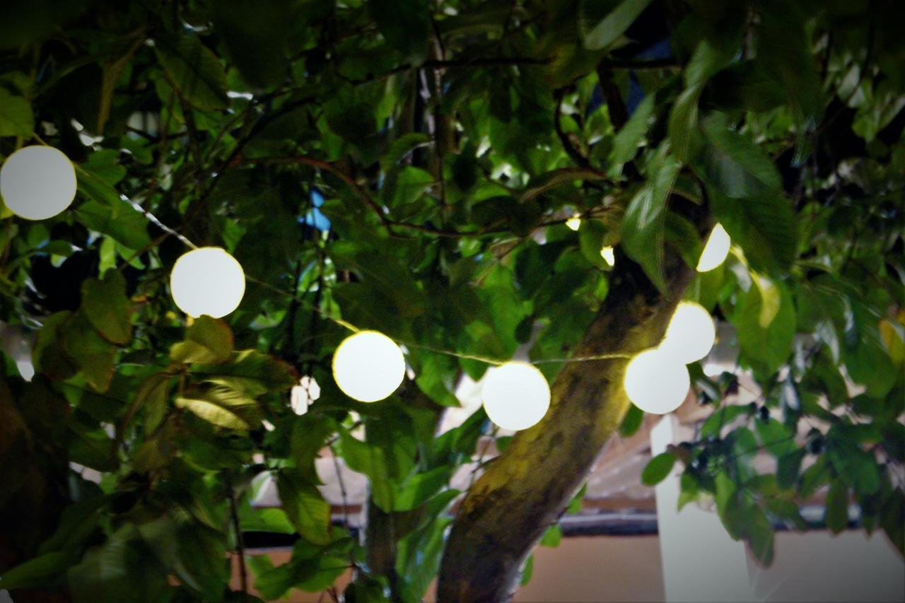 Red River Hostel ซัลวาดอร์ ภายนอก รูปภาพ