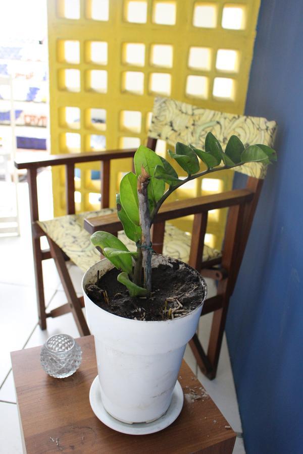 Red River Hostel ซัลวาดอร์ ภายนอก รูปภาพ